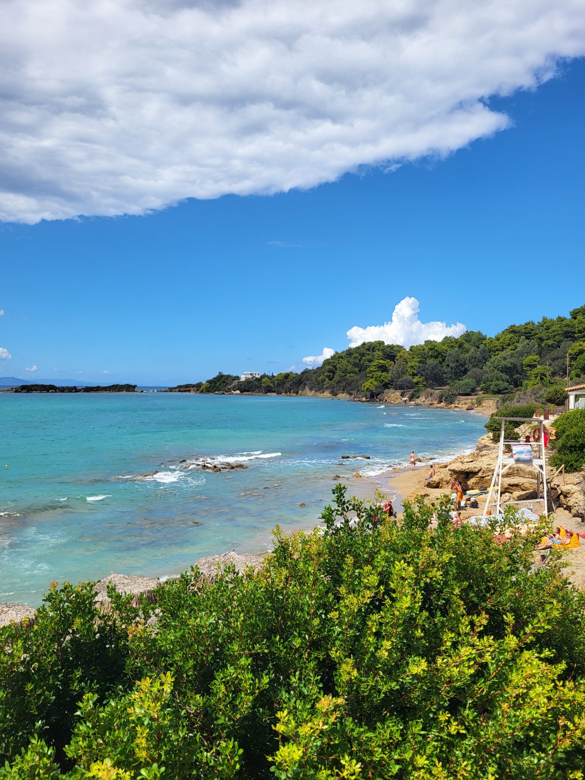 Reviewing the Marine Strategy Framework Directive