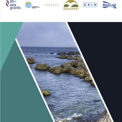 Draft Strategy for Sustainable use of the Black Sea Coastal Ecosystems