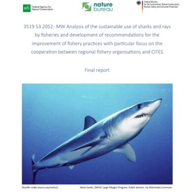 Promoting a cooperative approach to shark fisheries management globally - final report