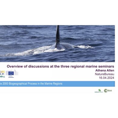 BGP marine regions strict protection networking event presentation